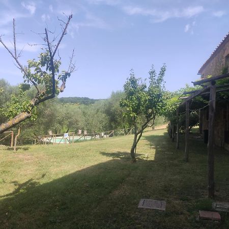 Borgo Villa A Tolli 카스텔누오보 델라바테 외부 사진