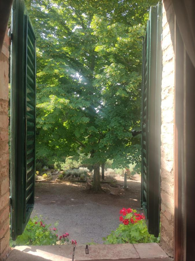Borgo Villa A Tolli 카스텔누오보 델라바테 외부 사진